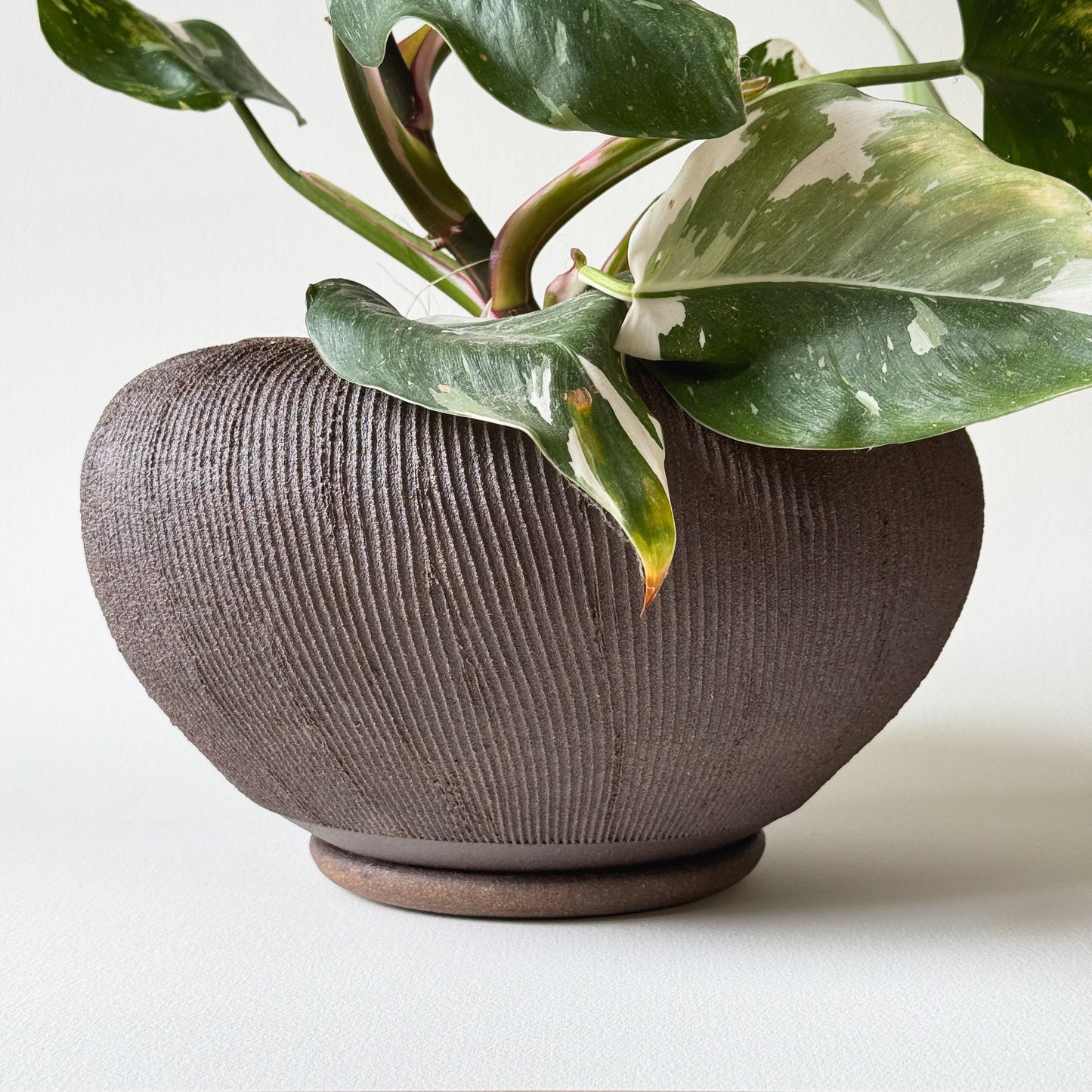 Jasper Planter Set 040 - SOMBRA