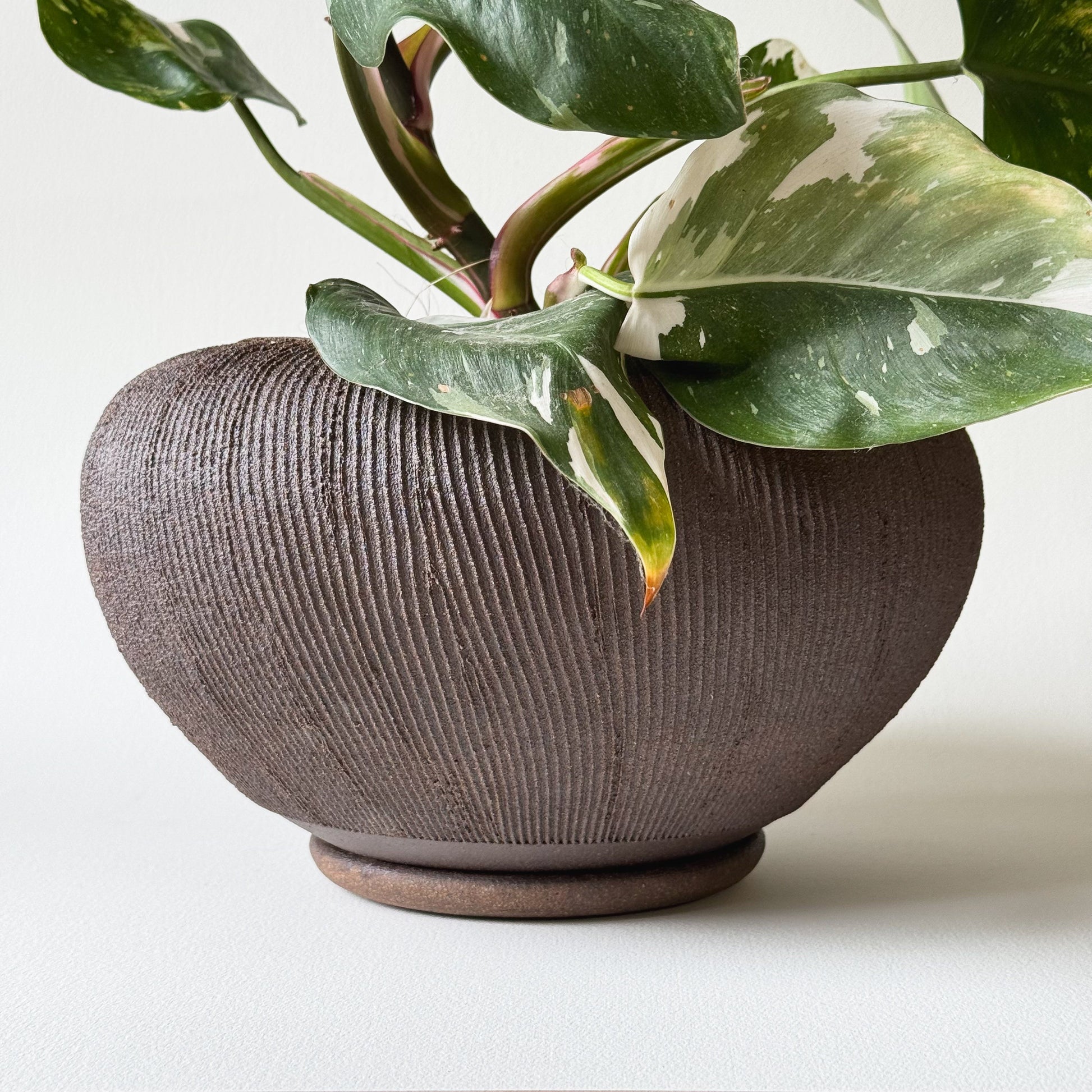 Jasper Planter Set 040 - SOMBRA