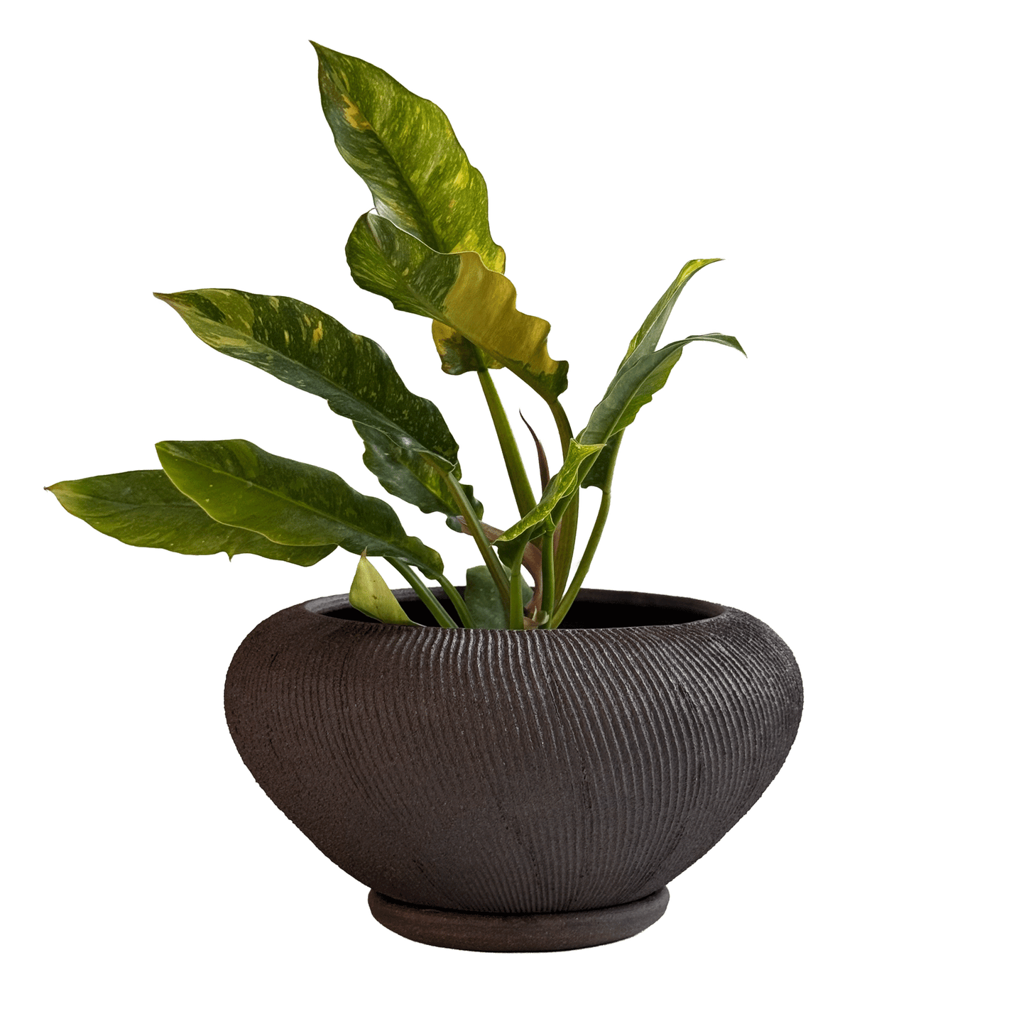 Jasper Planter Set 101 - SOMBRA