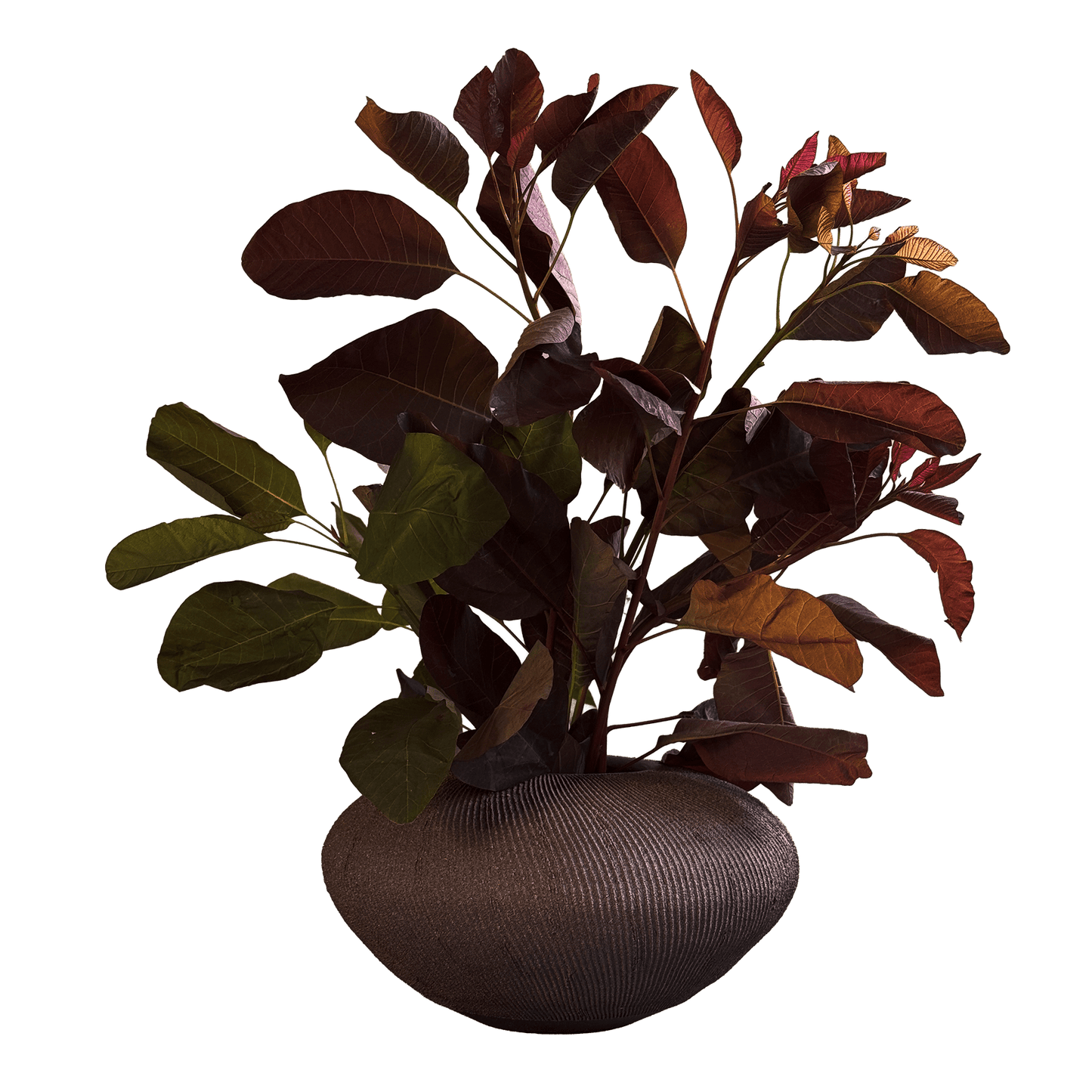 Jasper Ribbed Vase 030 - SOMBRA