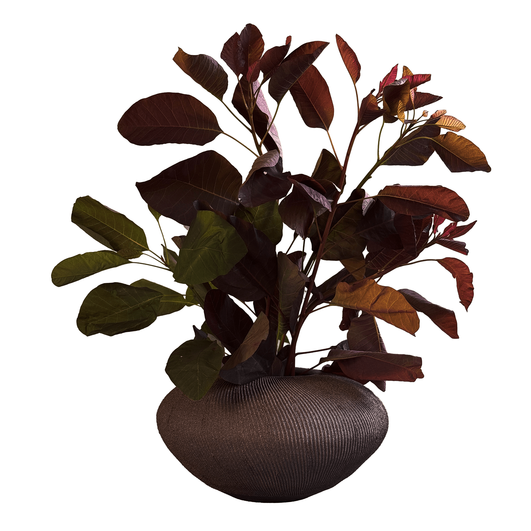 Jasper Ribbed Vase 030 - SOMBRA