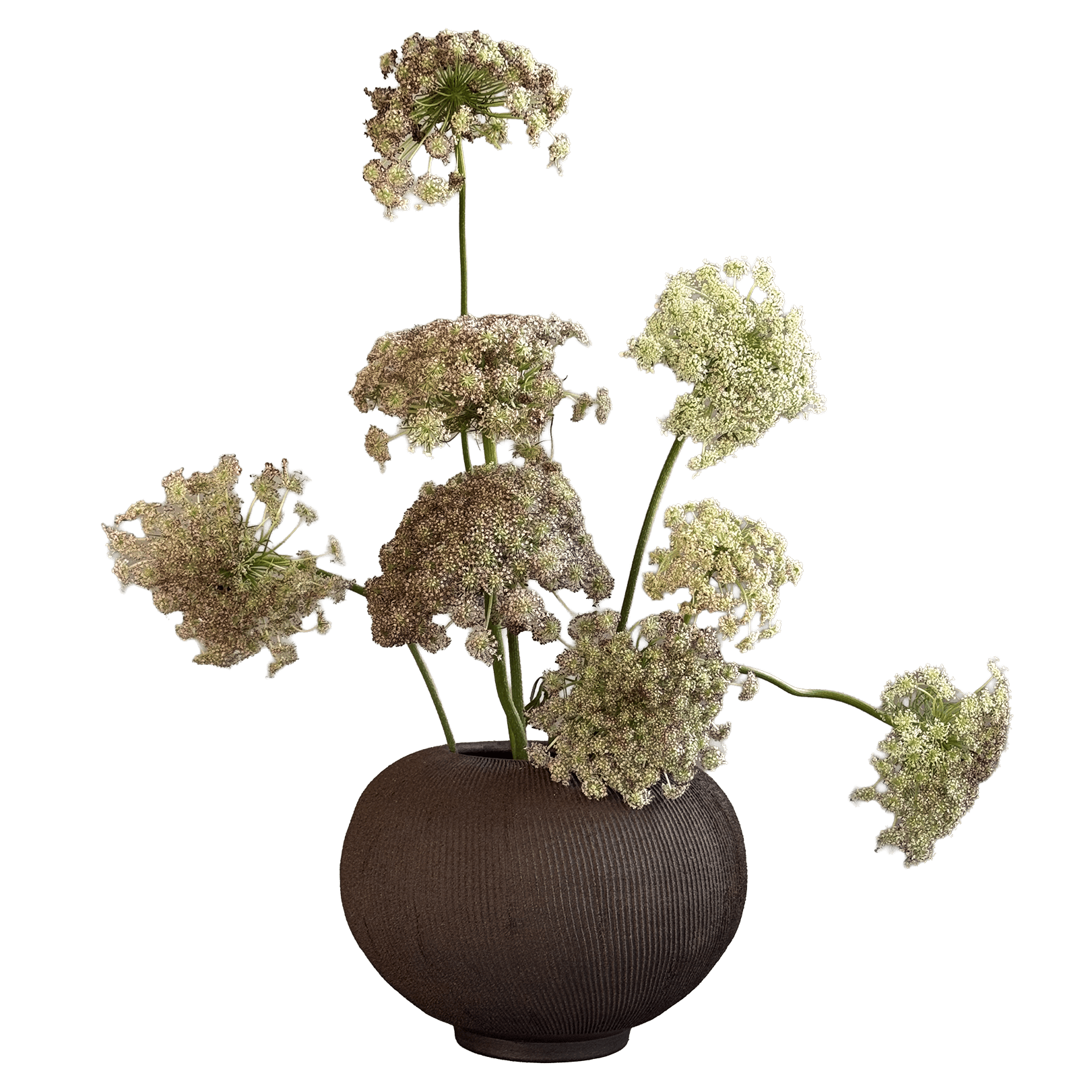 Jasper Ribbed Vase 031 - SOMBRA