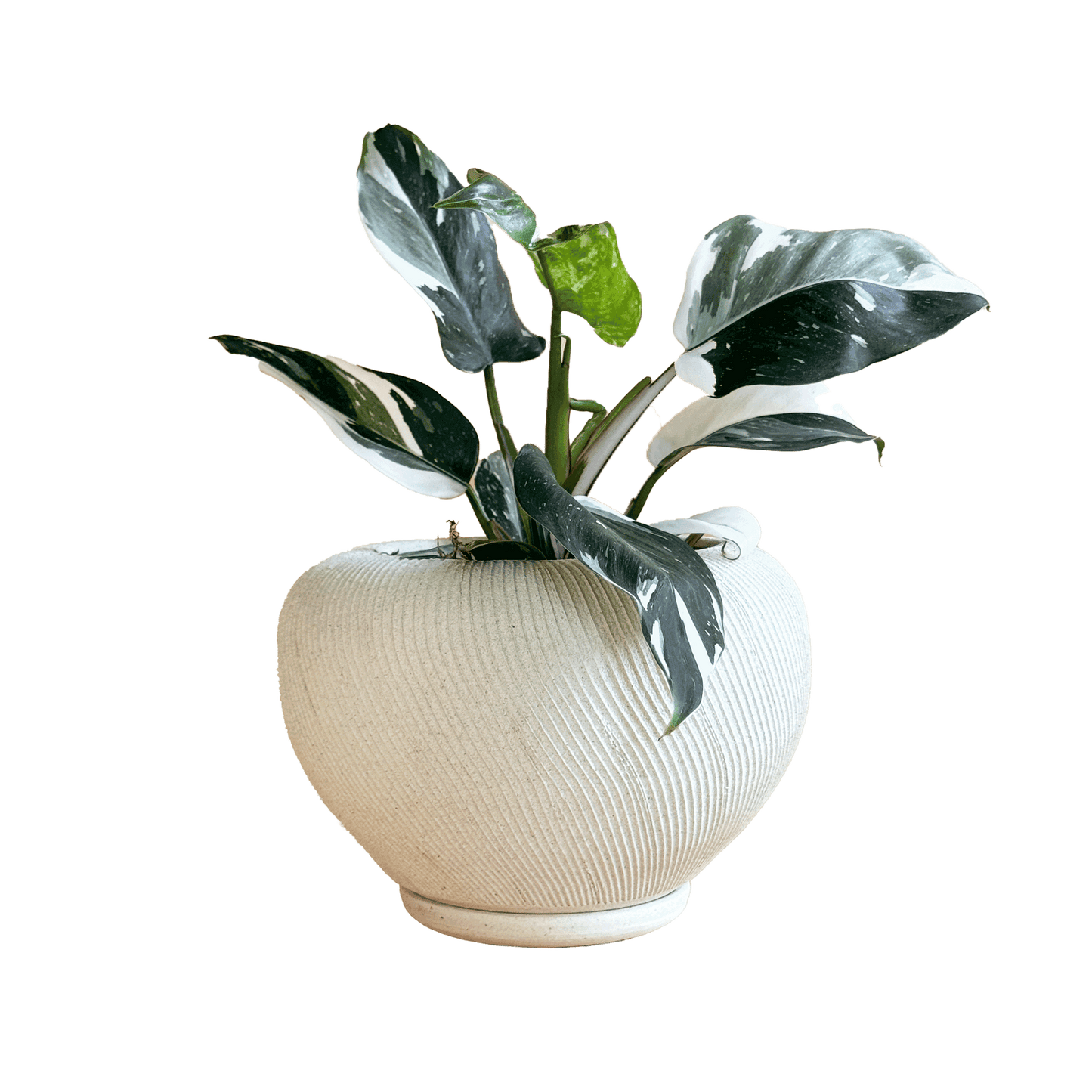 Quartzite Ribbed Planter Set 046 - SOMBRA