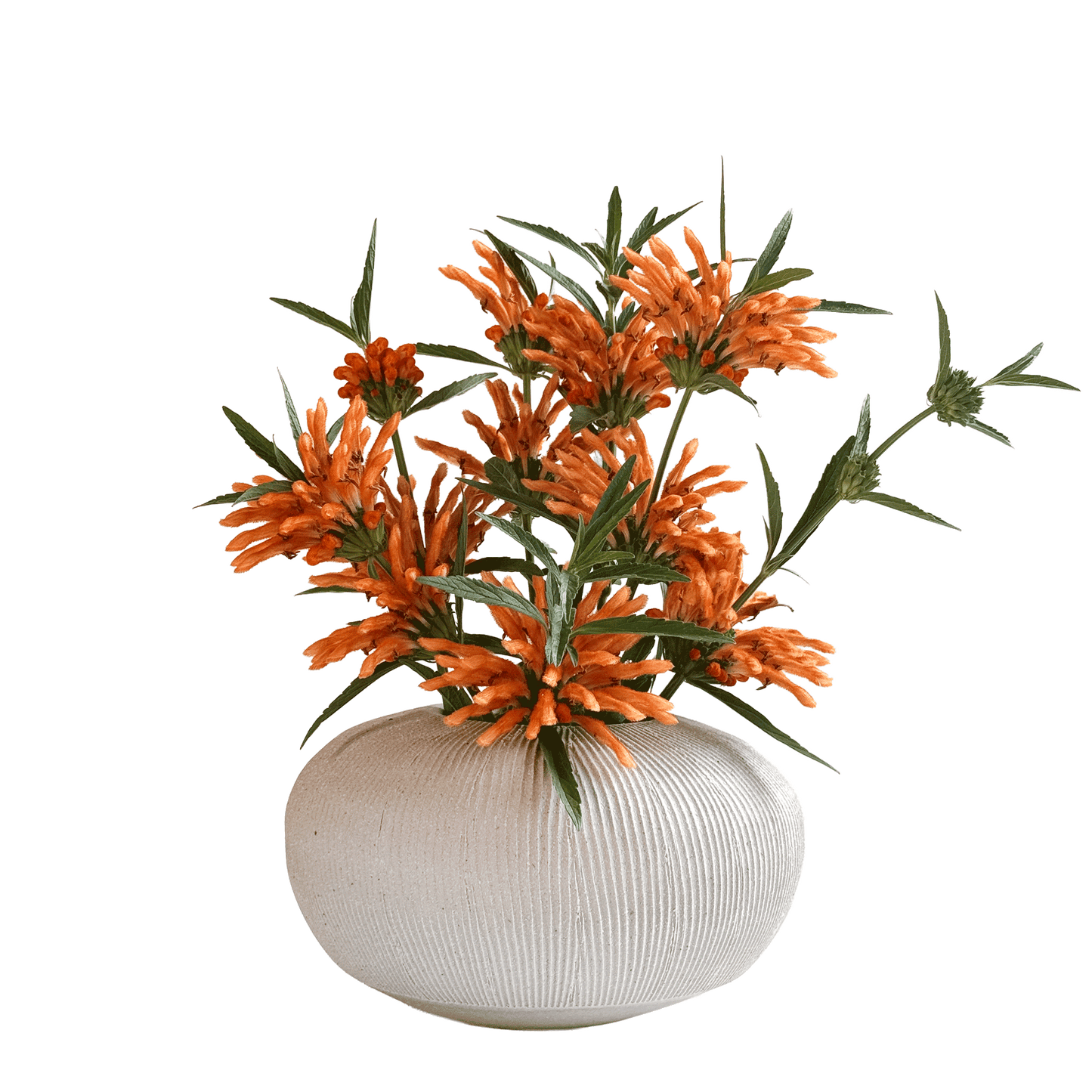 Quartzite Ribbed Vase 101 - SOMBRA