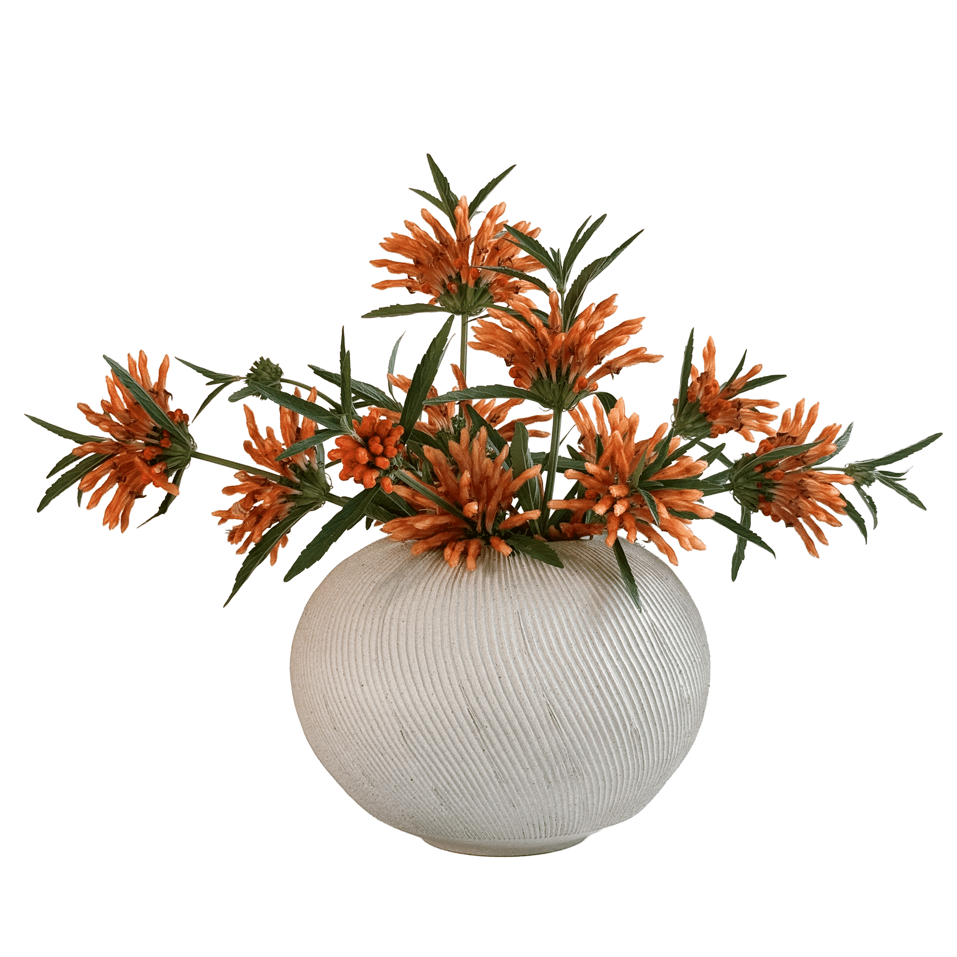 Quartzite Ribbed Vase 102 - SOMBRA