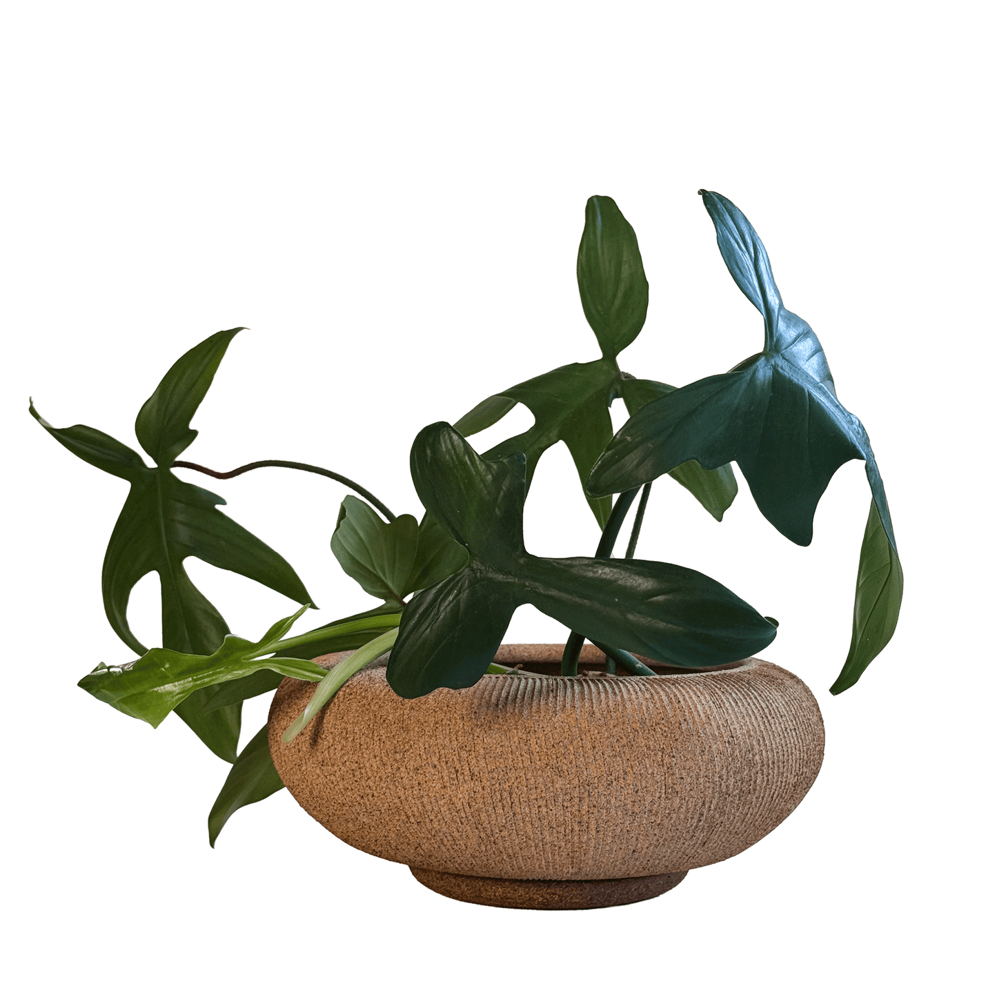 Sandstone Ribbed Planter Set 105 - SOMBRA