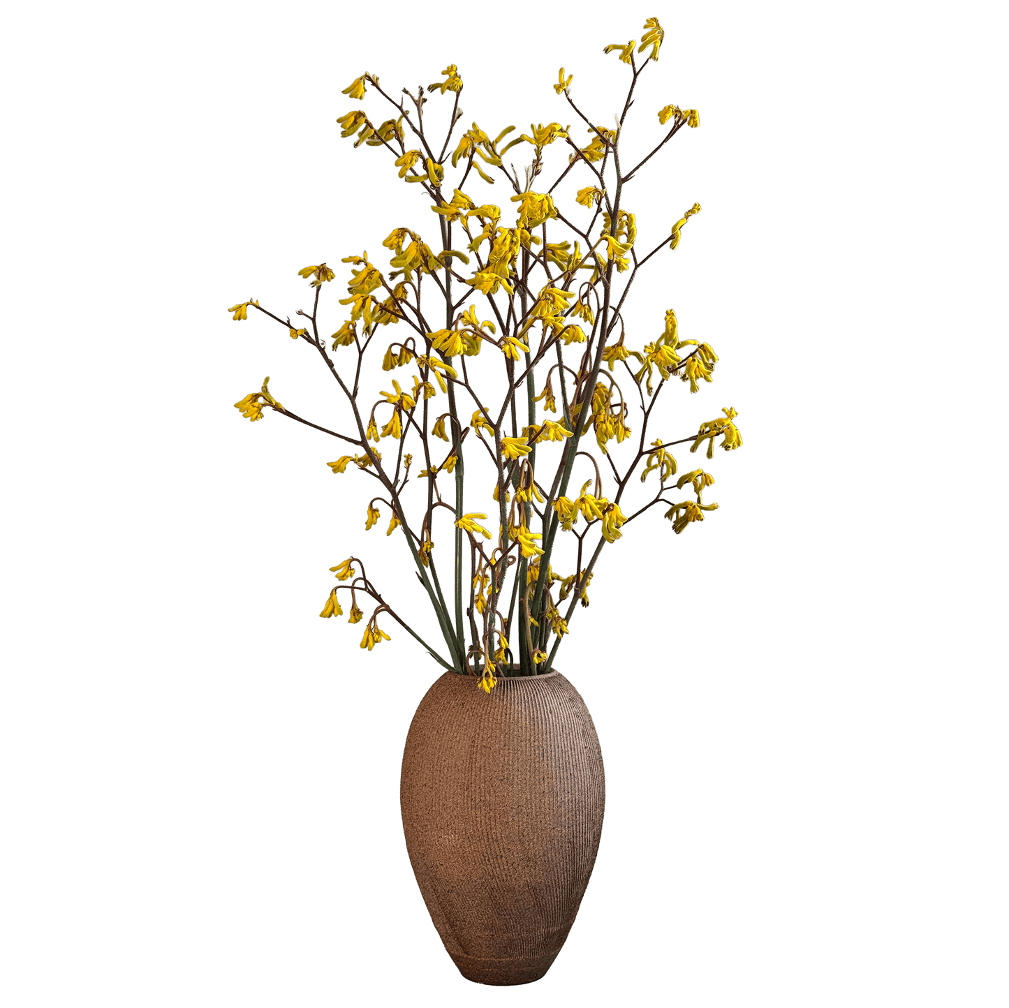 Sandstone Ribbed Vase 061 - SOMBRA