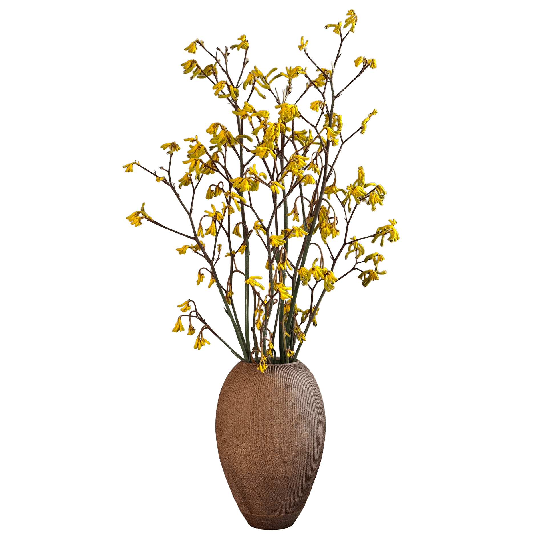 Sandstone Ribbed Vase 061 - SOMBRA