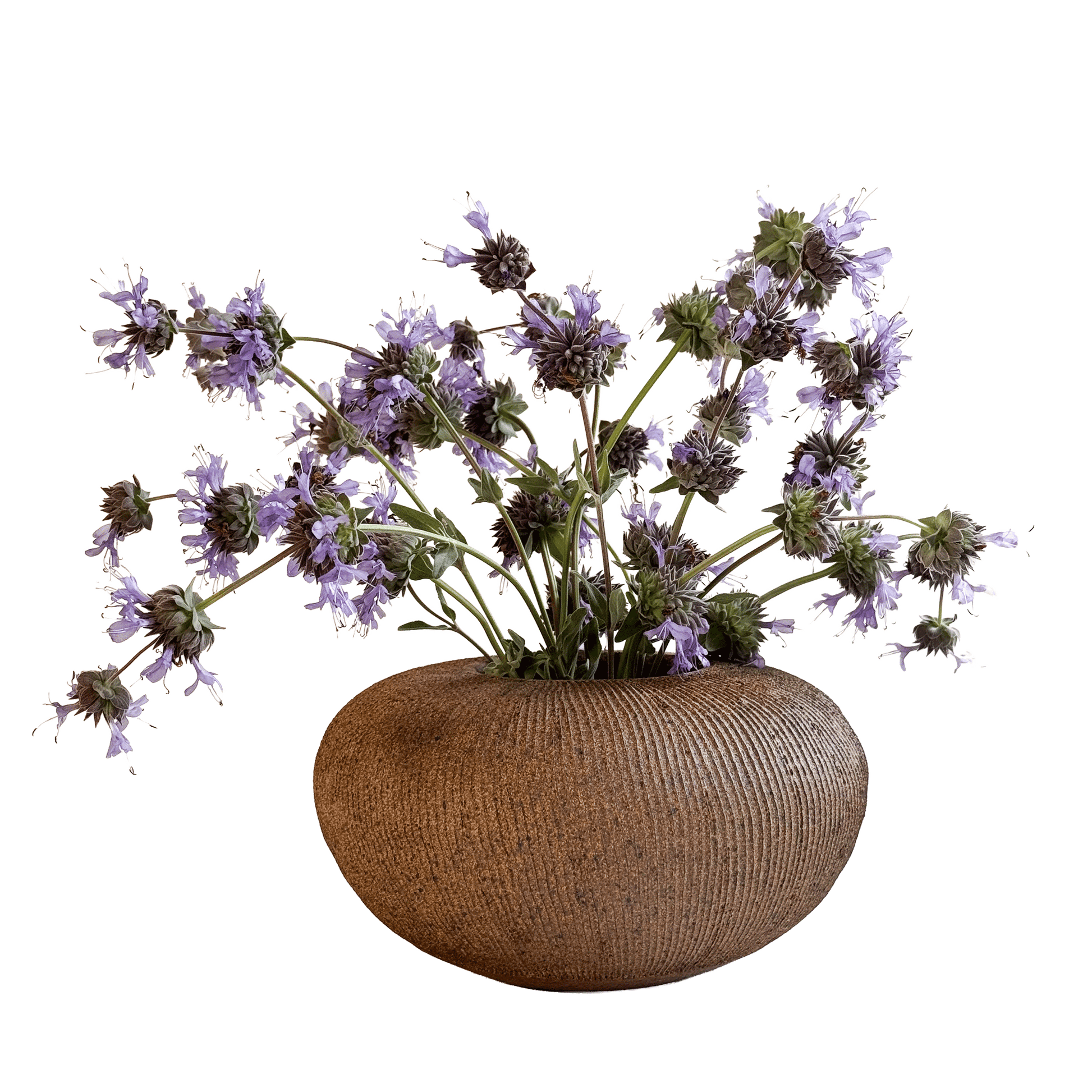 Sandstone Ribbed Vase 101 - SOMBRA